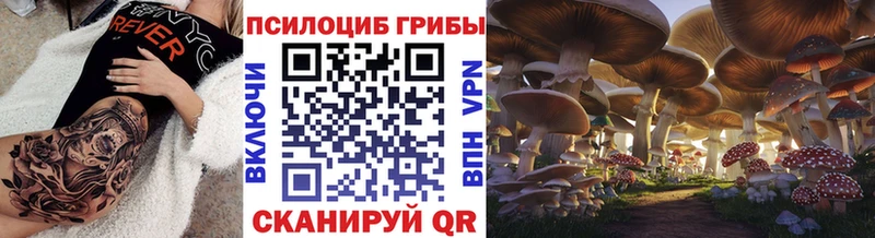 Галлюциногенные грибы прущие грибы  Купить  Лесной 